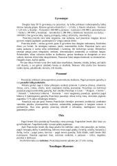 Prancūzijos apžvalga 5 puslapis