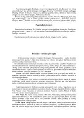 Prancūzijos apžvalga 6 puslapis