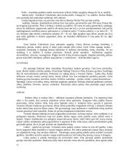 Prancūzijos apibūdinimas 11 puslapis