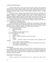 Prancūzijos apibūdinimas 14 puslapis