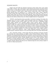 Prancūzijos apibūdinimas 3 puslapis