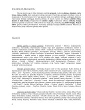 Prancūzijos apibūdinimas 6 puslapis