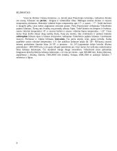 Prancūzijos apibūdinimas 8 puslapis