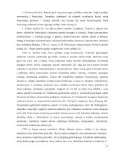 Prancūzijos didžioji revoliucija 12 puslapis