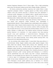 Prancūzijos didžioji revoliucija 14 puslapis