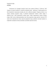 Programinės įrangos tipai bei operacinė sistema 3 puslapis