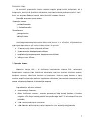 Programinės įrangos tipai bei operacinė sistema 5 puslapis