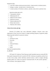 Programinės įrangos tipai bei operacinė sistema 7 puslapis
