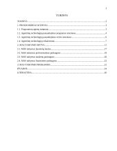 Programinių agentų taikymo sritys 2 puslapis