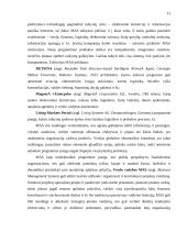 Programinių agentų taikymo sritys 12 puslapis