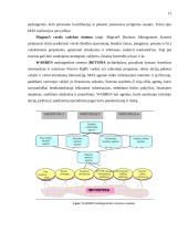 Programinių agentų taikymo sritys 13 puslapis