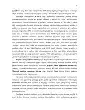 Programinių agentų taikymo sritys 16 puslapis