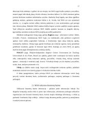 Programinių agentų taikymo sritys 17 puslapis