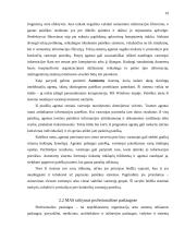 Programinių agentų taikymo sritys 19 puslapis