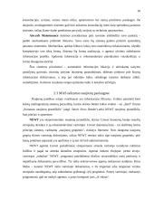 Programinių agentų taikymo sritys 20 puslapis