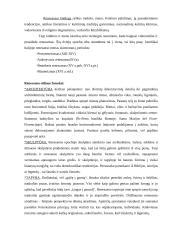 Renesanso ir humanizmo sąvokų apibrėžimas 4 puslapis