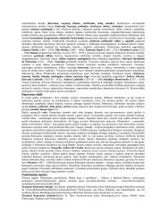 Renesanso šokiai 2 puslapis