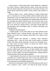 Riebi oda 6 puslapis