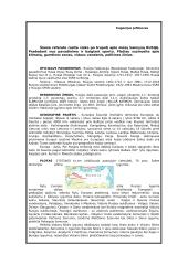 Rusijos geografija ir ypatybės 2 puslapis