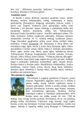 Rusijos aprašymas 3 puslapis