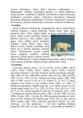 Rusijos aprašymas 4 puslapis