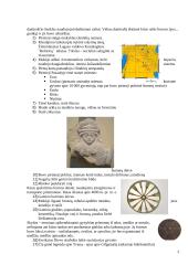 Seniausios civilizacijos 3 puslapis