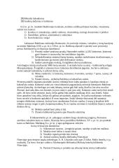 Seniausios civilizacijos 4 puslapis