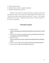 Sidnėjaus miesto subalansuota plėtra 15 puslapis