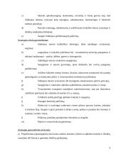 Sidnėjaus miesto subalansuota plėtra 4 puslapis