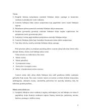 Sidnėjaus miesto subalansuota plėtra 6 puslapis