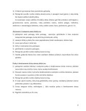 Sidnėjaus miesto subalansuota plėtra 8 puslapis