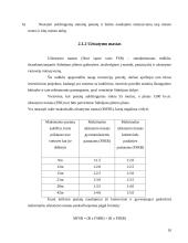 Sidnėjaus miesto subalansuota plėtra 10 puslapis