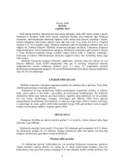 Sifilis ir jo sukėlėjai 2 puslapis