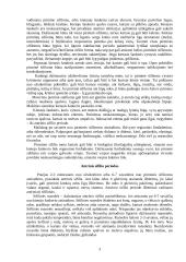 Sifilis ir jo sukėlėjai 3 puslapis