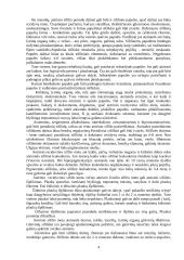 Sifilis ir jo sukėlėjai 4 puslapis