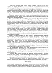 Sifilis ir jo sukėlėjai 7 puslapis