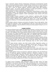 Slovakija ir jos geografija 4 puslapis