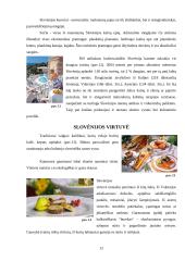 Slovėnijos aprašymas 12 puslapis