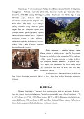 Slovėnijos aprašymas 6 puslapis