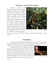 Slovėnijos aprašymas 7 puslapis