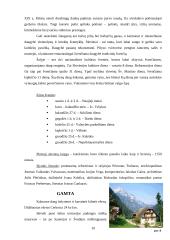 Slovėnijos aprašymas 10 puslapis