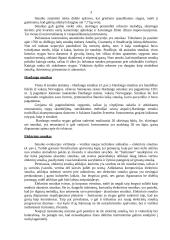 Smuiko muzika 3 puslapis