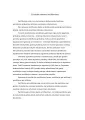 Standartizacija ir patentotyra 6 puslapis