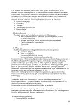 Statybos įmonės verslo plano metodologija 14 puslapis