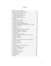 Statybos įmonės verslo plano metodologija 3 puslapis