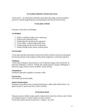 Statybos įmonės verslo plano metodologija 4 puslapis