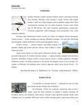 Suomijos faktai 11 puslapis