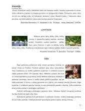 Suomijos faktai 13 puslapis