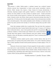 Suomijos faktai 14 puslapis