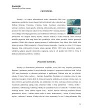 Suomijos faktai 15 puslapis